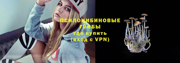 СК Вязьма