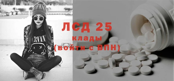 амф Кострома