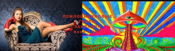каннабис Вязники