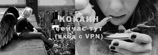 СК Вязьма