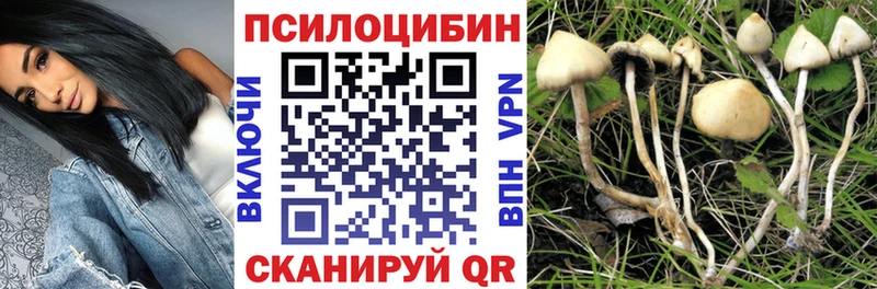 Галлюциногенные грибы ЛСД  Дубовка 